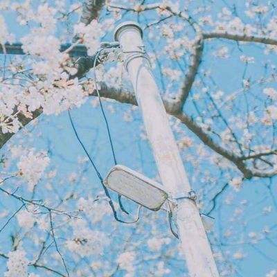 手游银河舰队最新正版下载