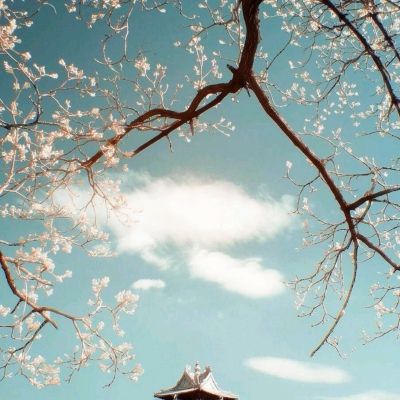 少女机动队破解版下载